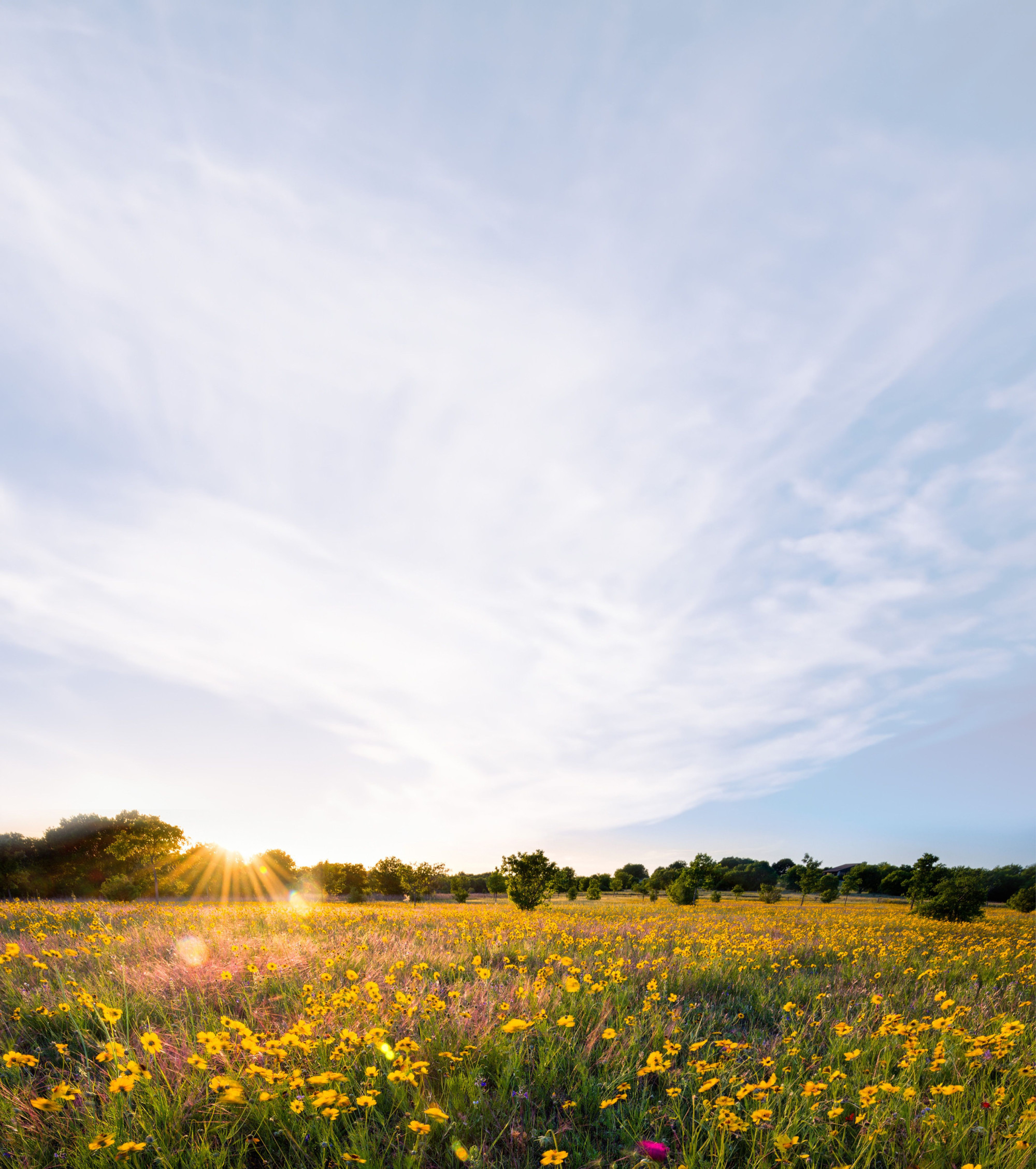field-with-extended-sky-image-edited.jpg